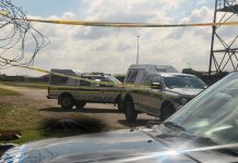 Ramaphosa orders priority probe into Kempton Park women’s killings